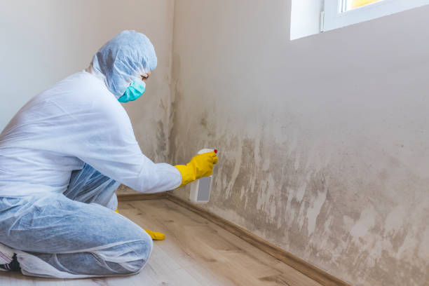Licensed Commercial Mold Remediation service in Boyds, MD - WQB Mold Removal