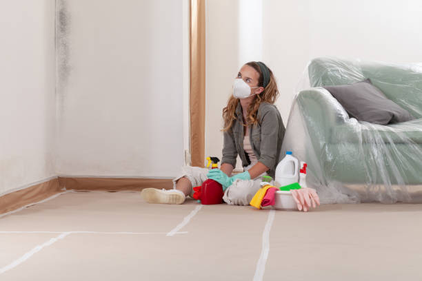 Reliable Commercial Mold Remediation contractor in Boyds, MD by WQB Mold Removal